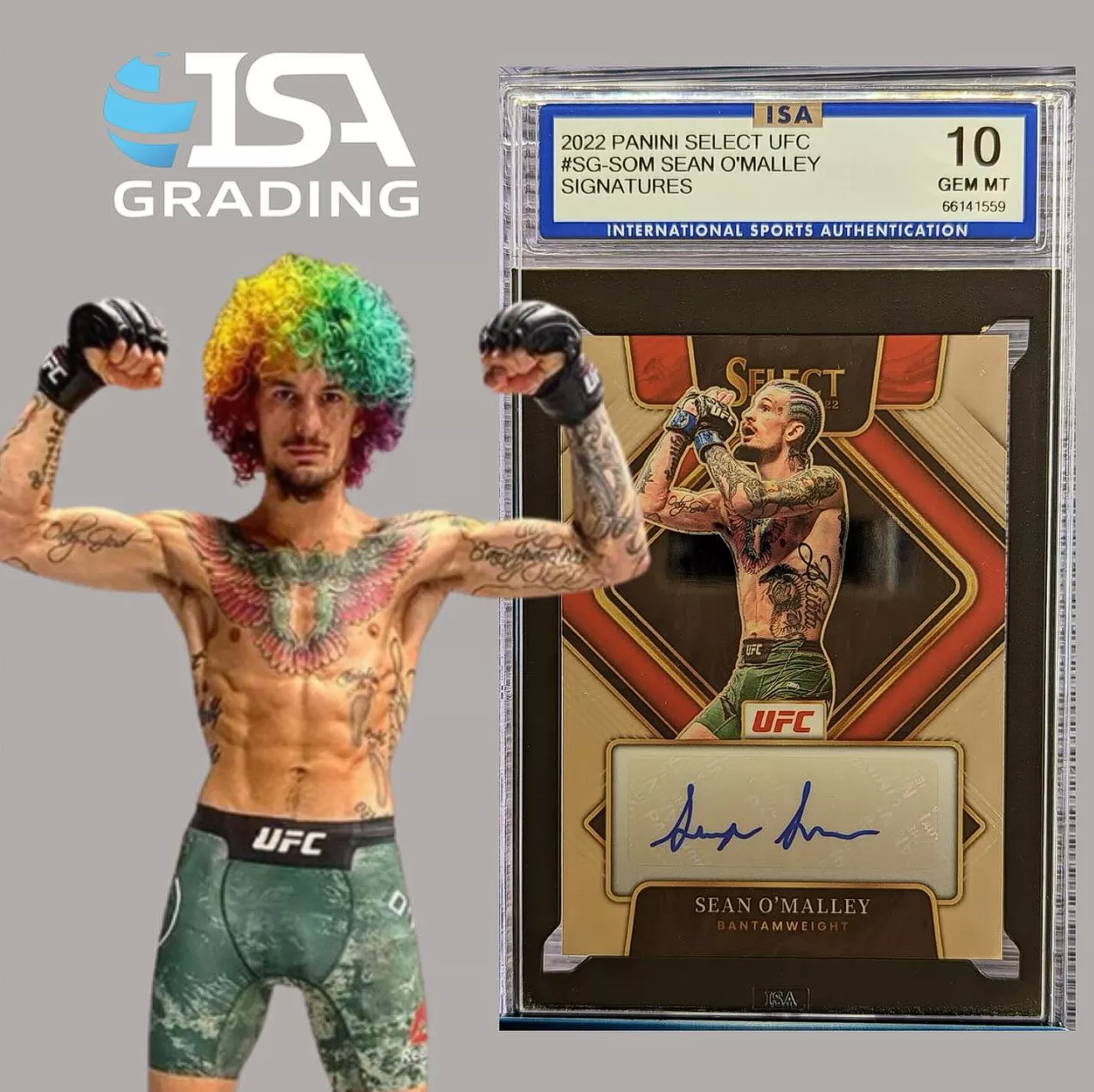 Maximizing Your Collection's Potential: ISA Grading's Premier Card Services